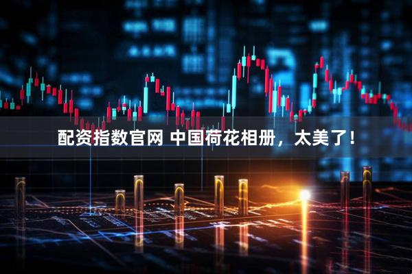 配资指数官网 中国荷花相册，太美了！