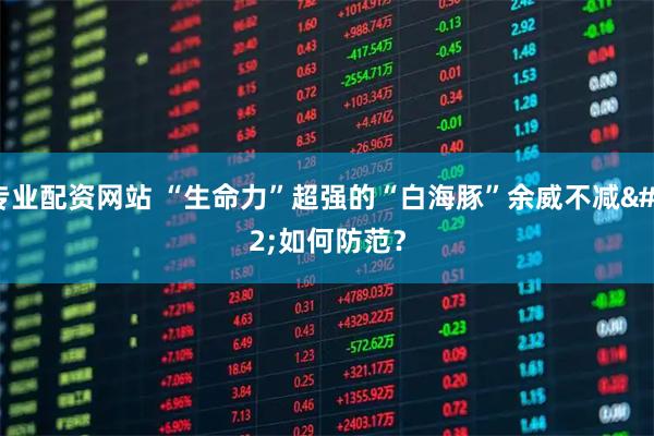 专业配资网站 “生命力”超强的“白海豚”余威不减 如何防范？